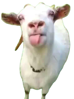 お気に入りの猫ミームの元ネタ